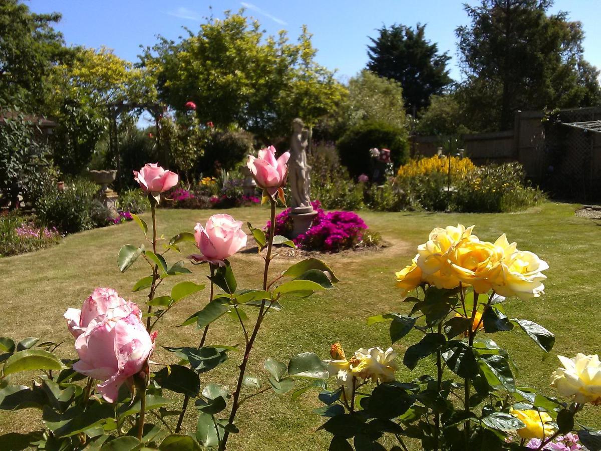 Cherry Garden B&B Folkestone Zewnętrze zdjęcie